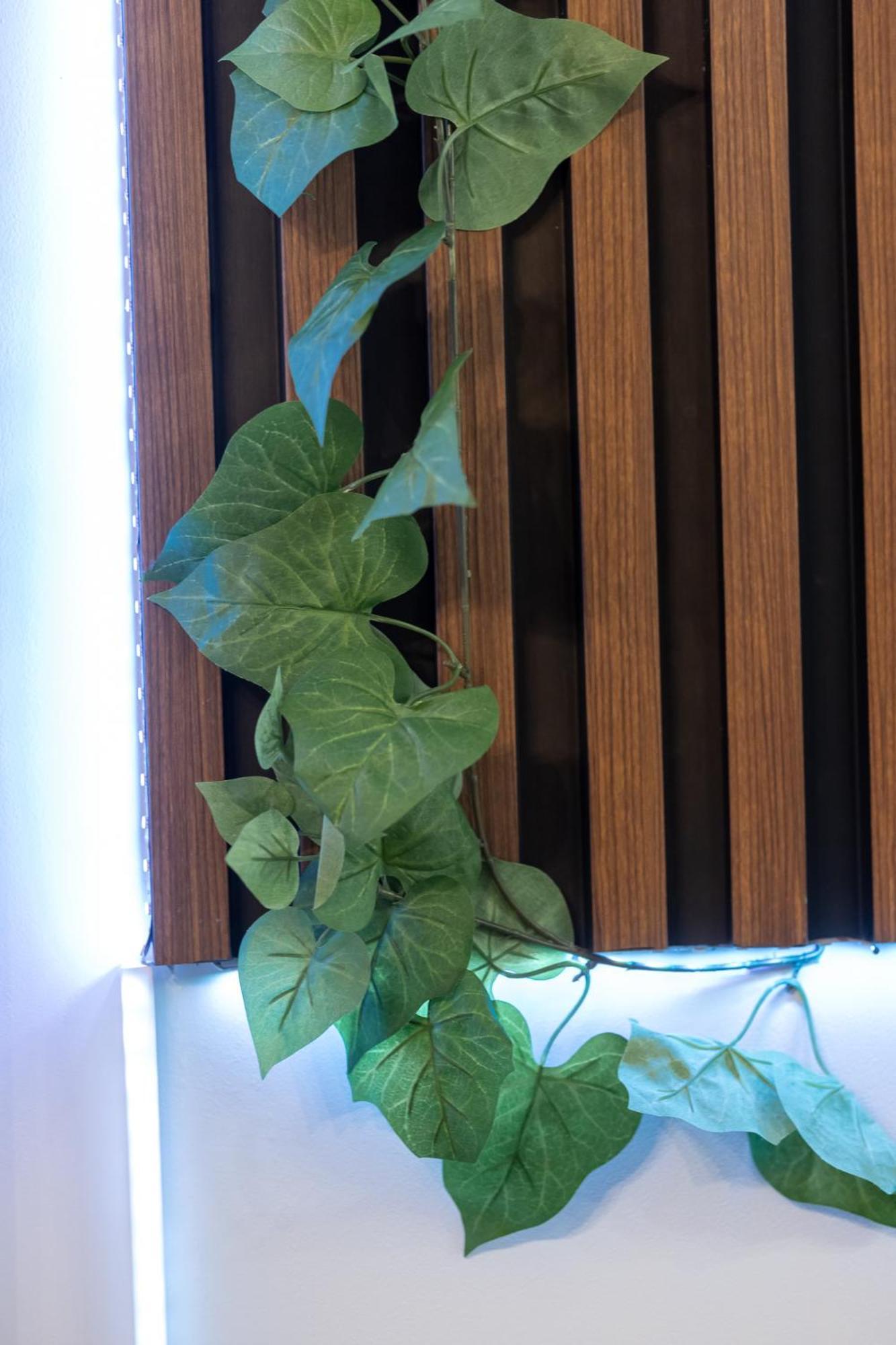 Vintage Home By Ndk And Vitosha Blvd With Free Secured Parking 소피아 외부 사진